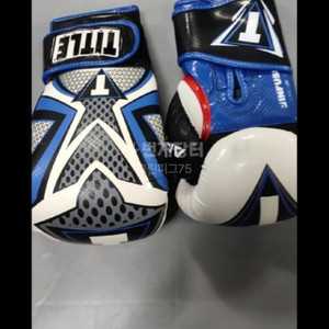 타이틀 복싱글러브(남성)