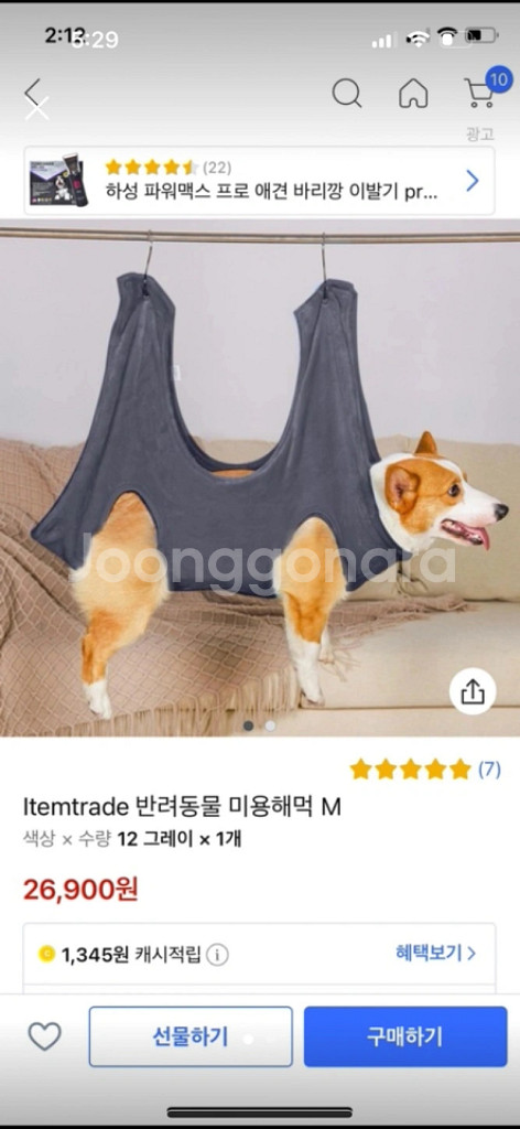 강아지 미용세트(미용해먹, LED발톱깍이, 미용바리깡)--0