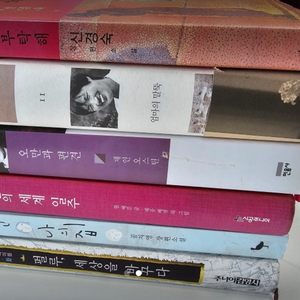 소설 6권 (권당 4,000 원)