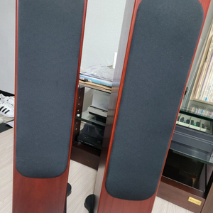 모니터오디오rs6 톨보이스피커