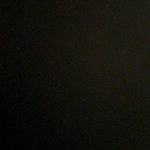 입양하세요 펫 팝니다