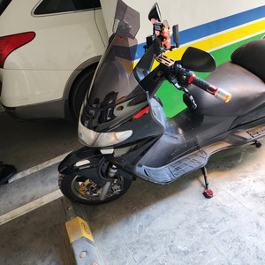 버그만400