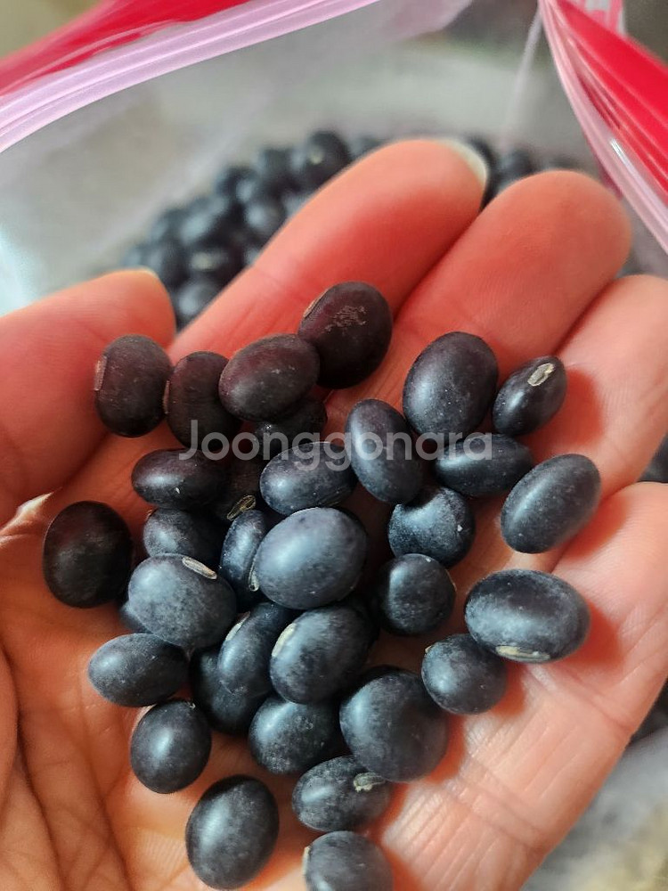 영주서리태ㆍ노란콩ㆍ콩가루(국산)--1