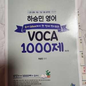 하승민 영어