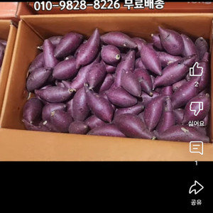 한우정액