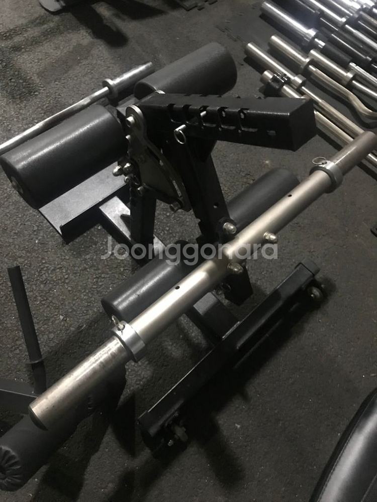 홈짐 에프몬스터 레그플러스--0