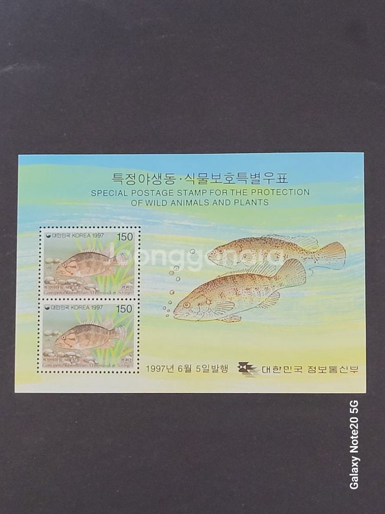 1997년특정야생동식물보호특별우표 시트 2종 가시--2