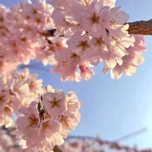 뚠땡이 매트 1인용 포함 or 1인용만 삽니다 이미지