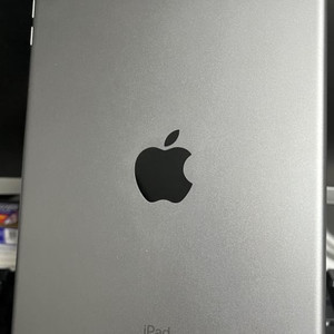 아이패드 미니5 와이파이 64기가 + 애플펜슬