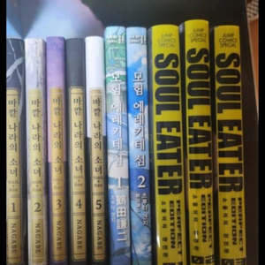 만화책 소울이터, 모험 에레키테 섬, 바깥 나라의 소녀