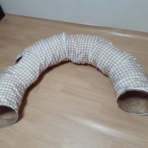 애벌레터널