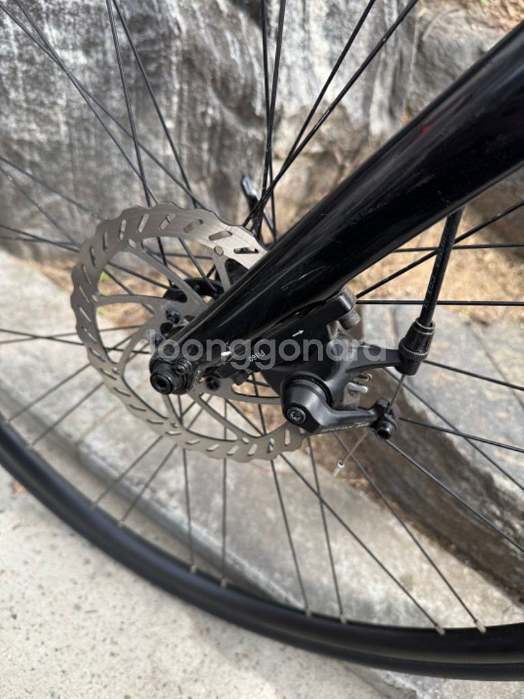 메리다 스컬트라100 디스크 s사이즈 2023년식--5