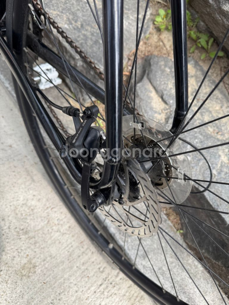 메리다 스컬트라100 디스크 s사이즈 2023년식--6