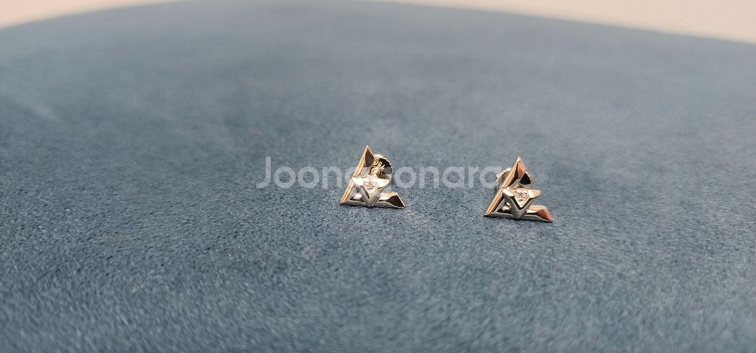 18k 화이트 골드 루이 볼트 귀걸이--1