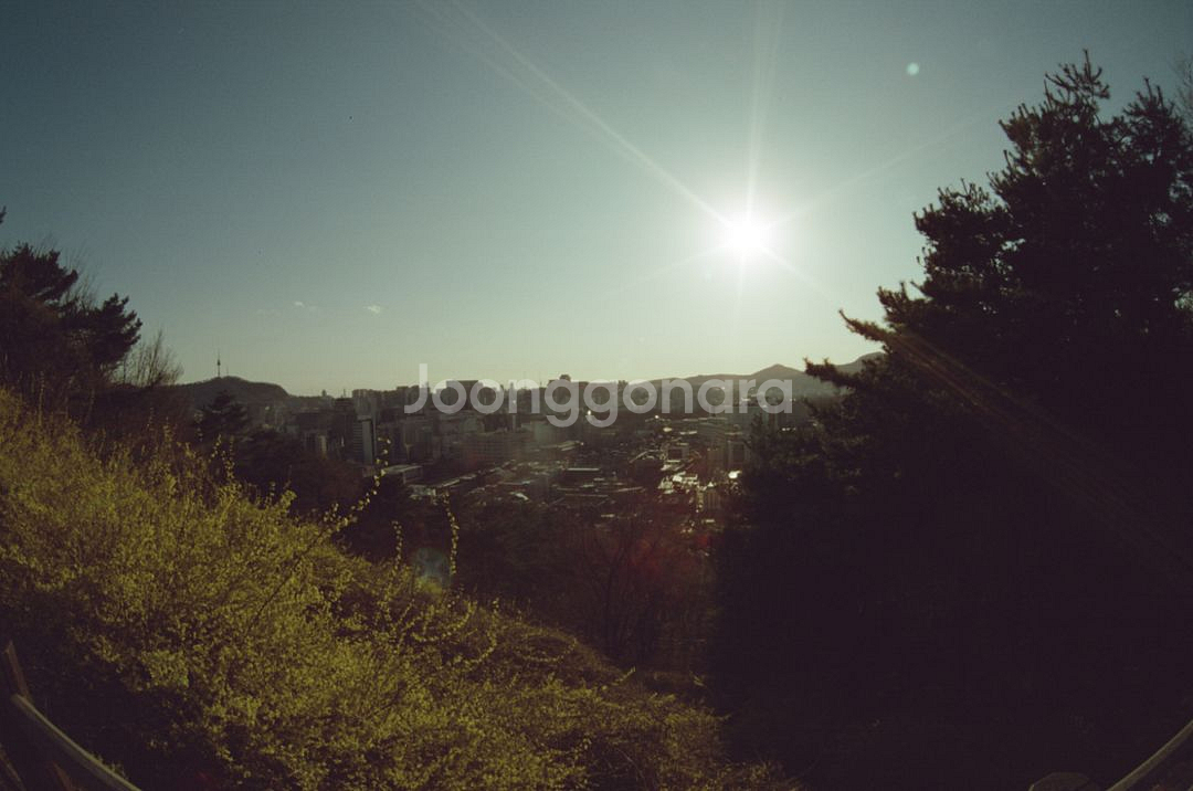 제니타 16mm 2.8 광각렌즈 캐논용--4