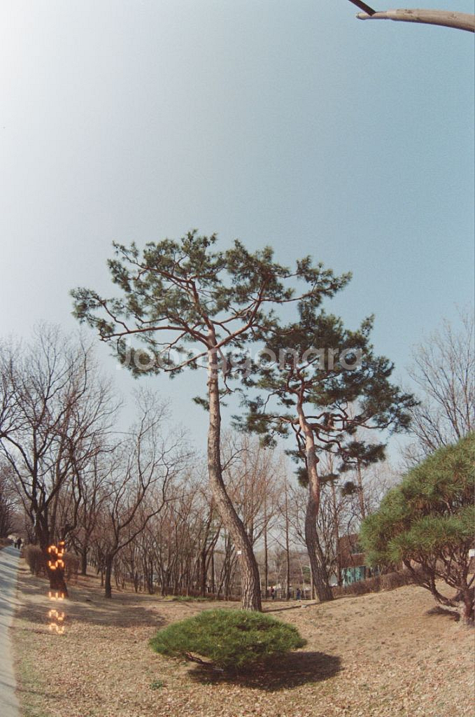 제니타 16mm 2.8 광각렌즈 캐논용--7
