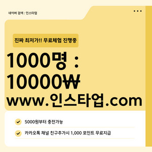 인스타 팔로워 & 좋아요 최저가 네이버검색 : 인스타업