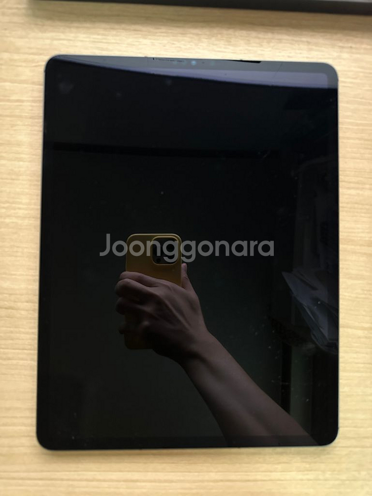 아이패드 프로 12.9 5세대 셀룰러 256g 애플펜슬--1