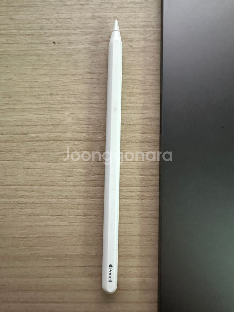 아이패드 프로 12.9 5세대 셀룰러 256g 애플펜슬--5