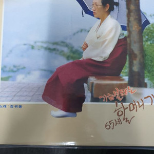 Lp.가슴설레는할머니가수