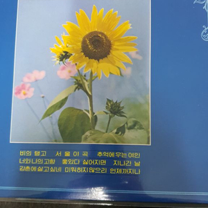 Lp.탱고전집