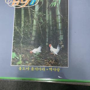 Lp.쌍나팔카바레