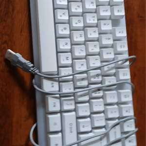 다이소키보드