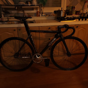 치넬리 비고렐리 레인보우 판매/대차