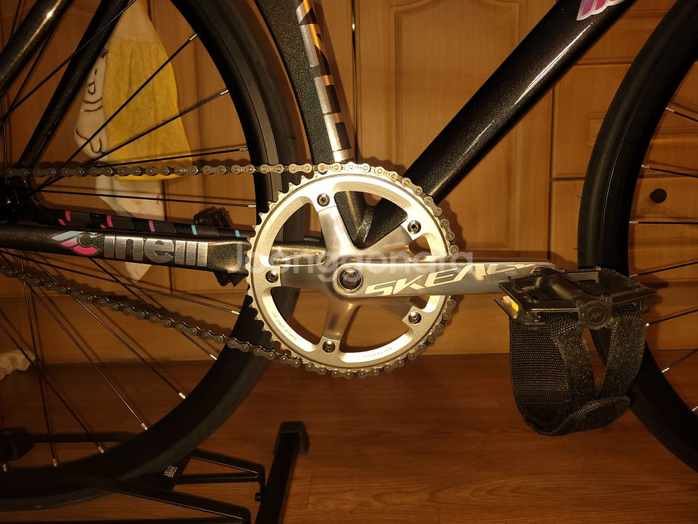 치넬리 비고렐리 레인보우 판매/대차--2