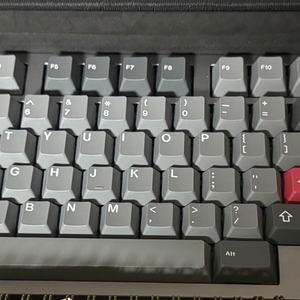 가람 제인 kalam jane v2