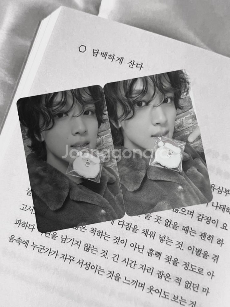 엔시티드림 127 핑크 크리스마스 해찬 포카 양도 엠디--0