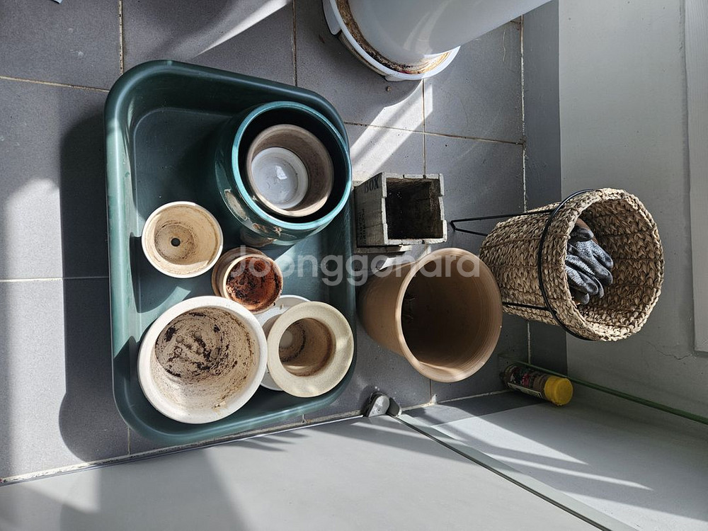 식물.화분.흙 판매--0