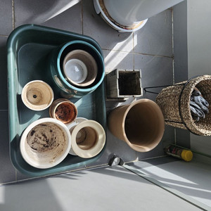 식물.화분.흙 판매