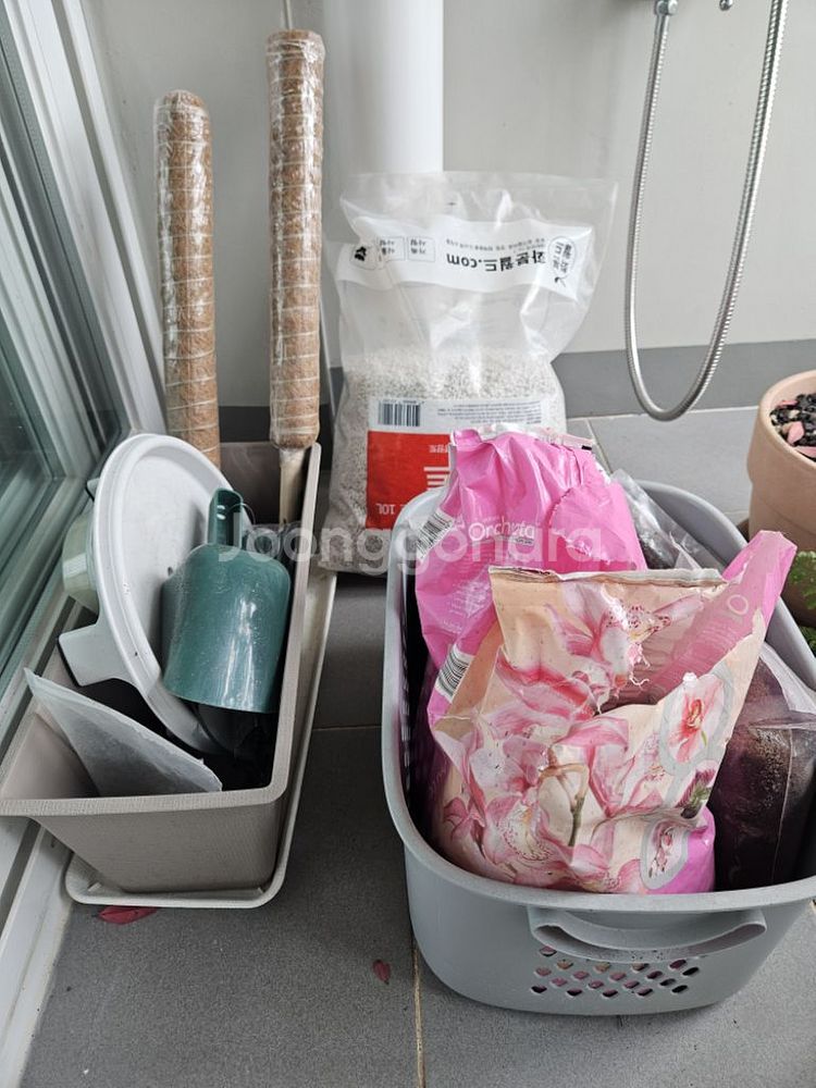 식물.화분.흙 판매--2