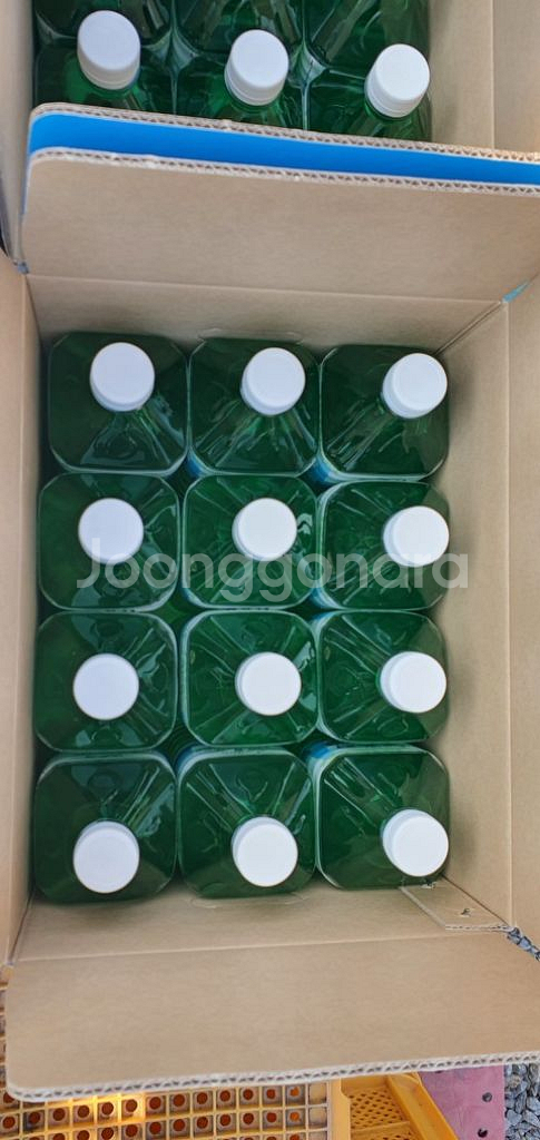 지리산 노각나무수액 다래나무수액 고로쇠 채취판매!--3