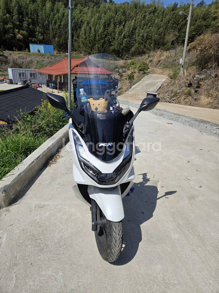 pcx125--0