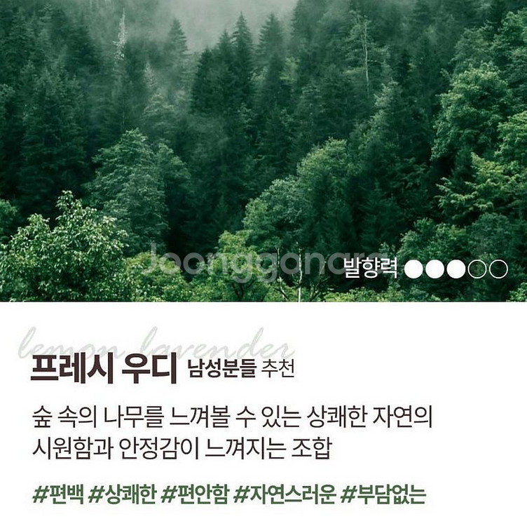 최고급 자동차방향제 차량용방향제--6