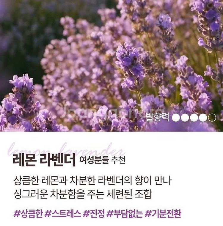 최고급 자동차방향제 차량용방향제--5
