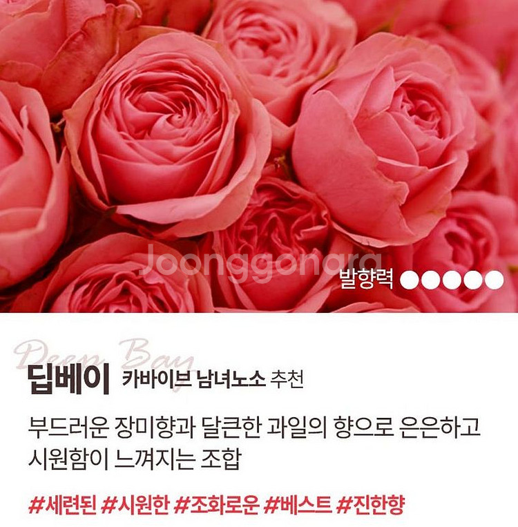 최고급 자동차방향제 차량용방향제--4