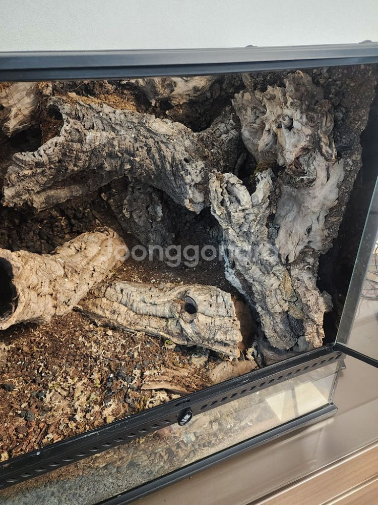 60 45 60 비바리움 (테라리움 겸용) 팝니다--0