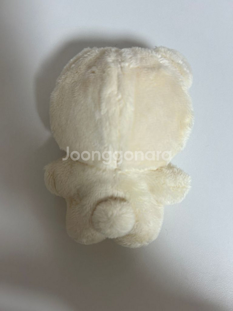 앙스타 코하쿠 이츠누이 곰누이--1