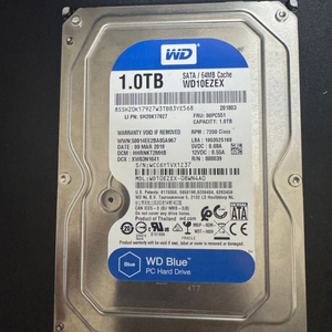 WD Blue HDD 1테라