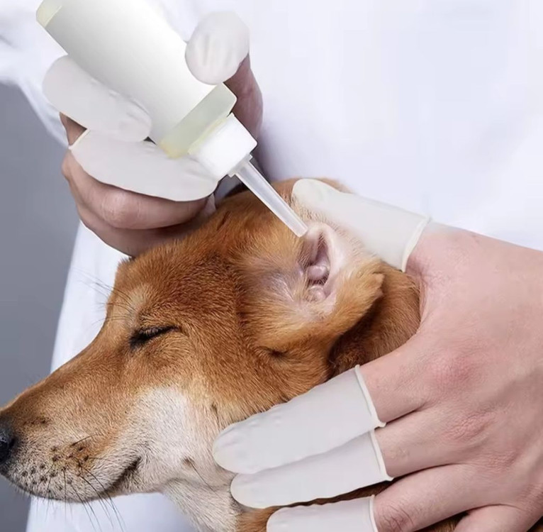 라텍스 손가락 장갑(흰색) 이미지