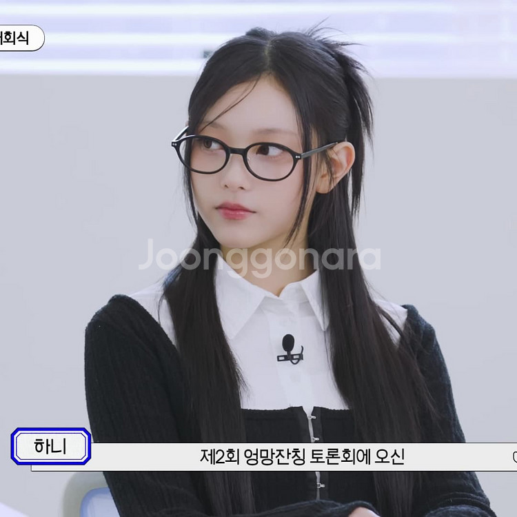 리가드 뿔테 뉴진스 안경 미우미우 선글라스 카린 아르노--6