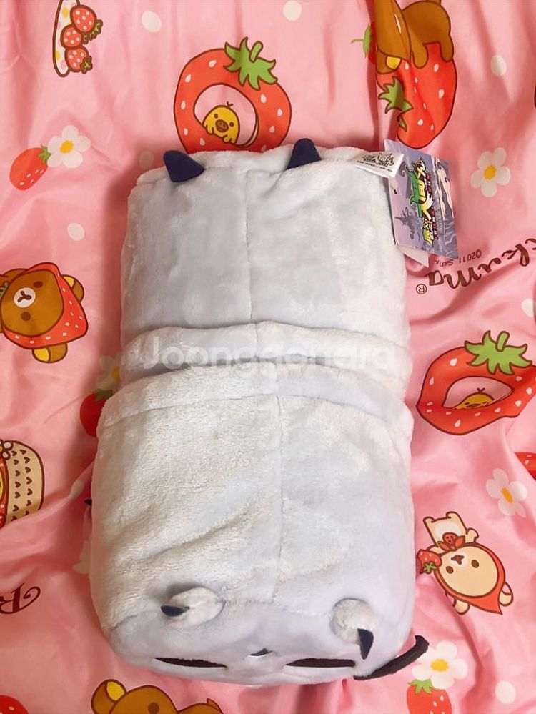 악입문 이루마군 카르에고 모후에고 담요--2