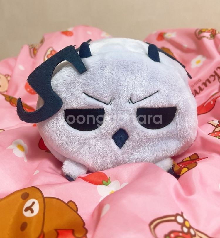 악입문 이루마군 카르에고 모후에고 담요--0