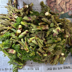 자연산 참두릅