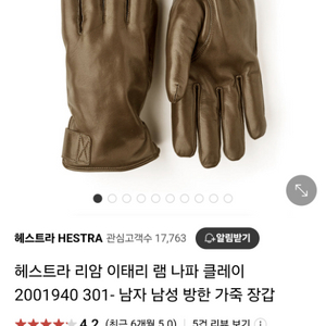 헤스트라 겨울 가죽 장갑 팝니다.