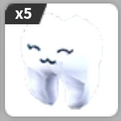 행복한치아츄토이_입양하세요_현거
