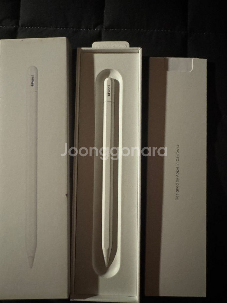 애플펜슬 (USB-C)--3